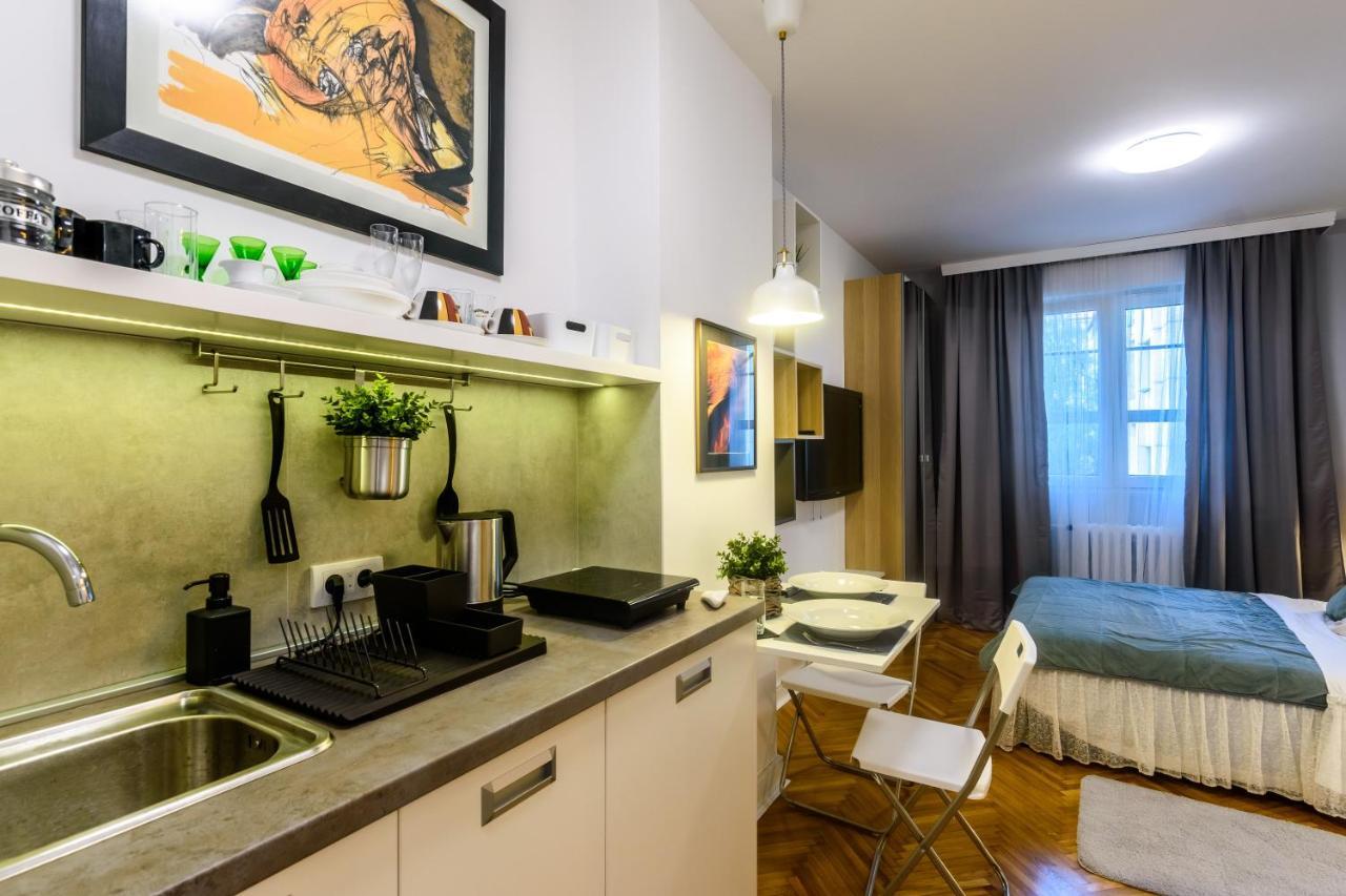 Vracar Apartment Βελιγράδι Εξωτερικό φωτογραφία